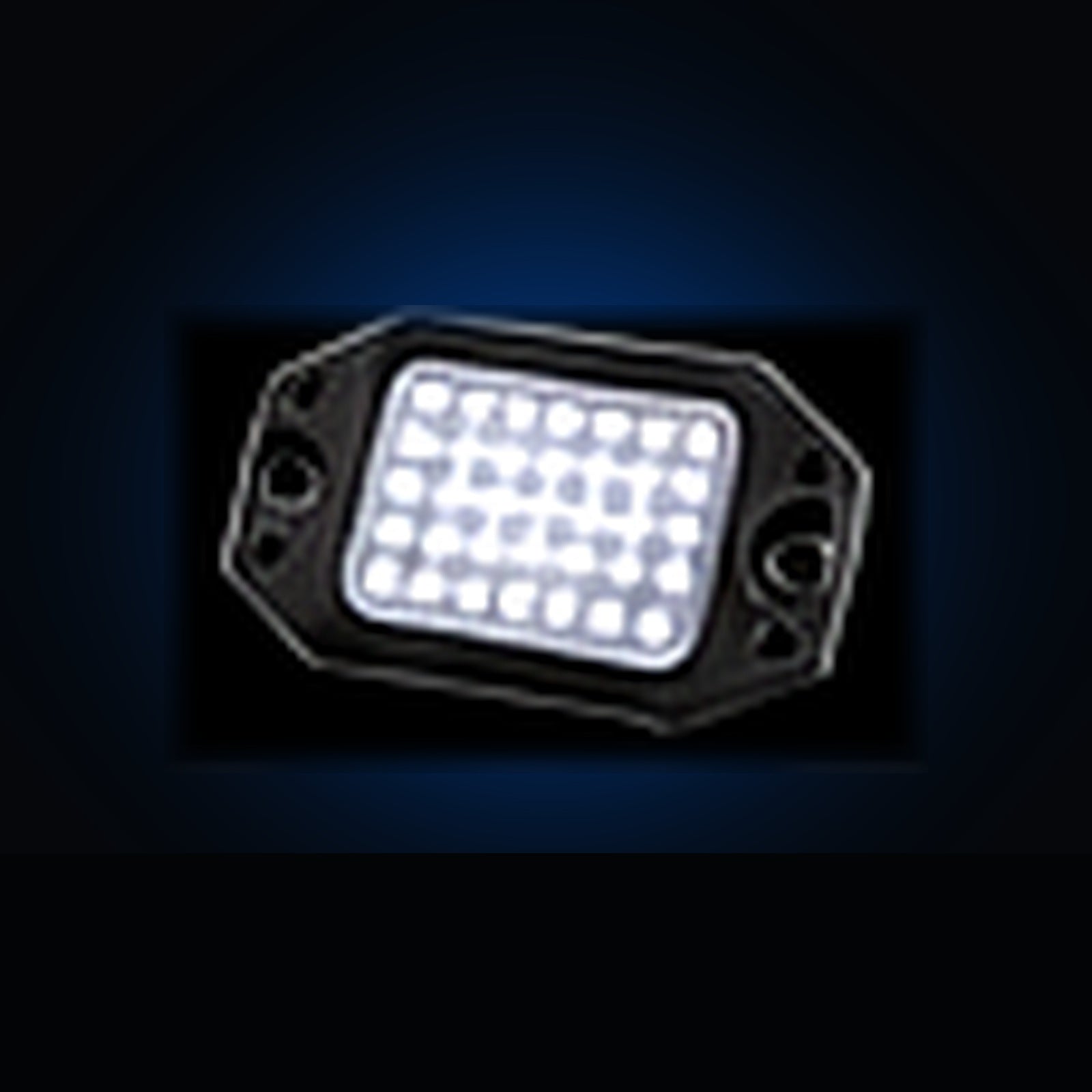 24-LED pure white rock light